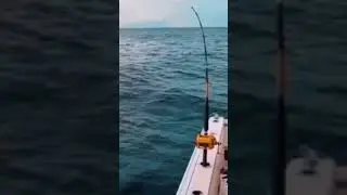 Picadon extremo #extremefishing #fishing #pescaextrema