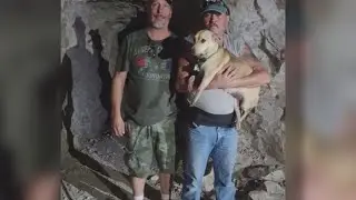 Dog rescued after falling 100 feet down Mohave County mine shaft