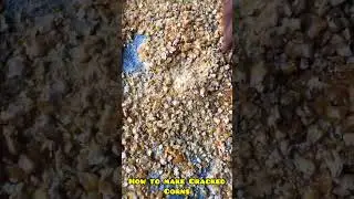 How to make cracked corn Feeds #farming #satisfying #shorts