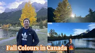 Beautiful Fall/Autumn Colours in Canada 🍁 | Quarry Lake in Canmore  | 😍 Must see Park