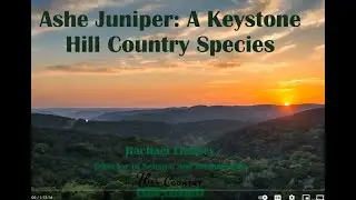 Ash Juniper: A Keystone Hill Country Species by Rachael Lindsey