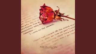 To The Beautiful You