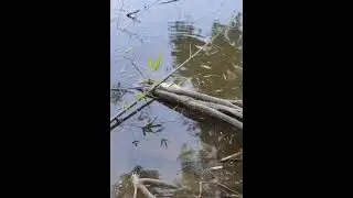 Outdoor fishing activities