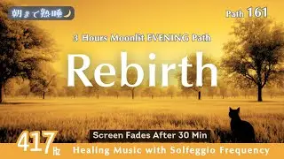 【417Hz | あたらしい風】🌙 Path 161 | Rebirth - Calm Night Music for Rest & Renewal【朝まで熟睡🌙】