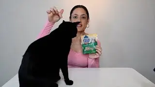 Blue Buffalo True Chews Cat Treats Review | Real Meat, High-Protein Snacks for All Life Stages