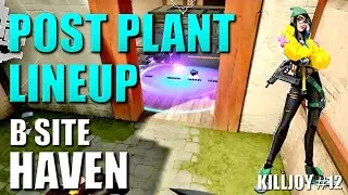 KILLJOY LINEUPS - HAVEN - Post Plant Molly Nanoswarm Setups #12 - B Site - Default