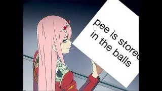 darling in the sacc