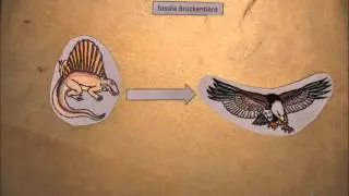 Brückentiere