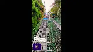 Mount Takao#hicking#lift#feelinggood#naturelovers#viralvideo#shorts#japan# autumn 🍁 with# ❤️