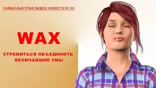 #KCN: #WAX стремиться объединить величайшие умы