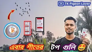এবার শীতে বাড়িতে বসে গুলি বানাও। আর পায়রা উড়িয়ে মজা লও|(TK Pigeon Lover) 🤩🕊️🕊️