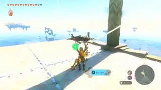 Zelda Rando Explorathon + Ps5 Controller Player