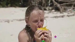 Affordable island to live