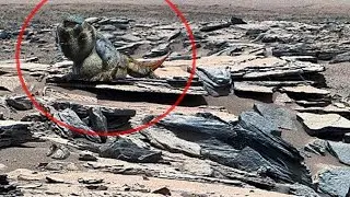NASA Mars Perseverance Rover Sent Live New 4k Footage || Mars Latest 4k Footage | Live Mars 4k Video