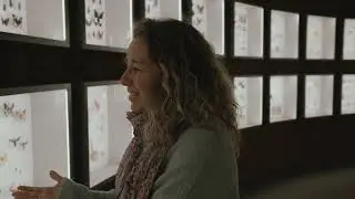 Bande-annonce - Les insectes et la F&eacute;e