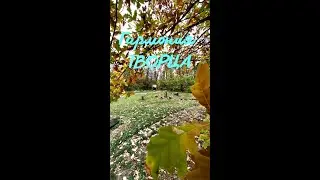 Гармония ТВОРЦА. Энерноработа ВселеннаяЯ #вселеннаяя #трансформации #гармонизация
