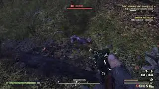ADVENTURES IN THE WASTELAND (FALLOUT 76)