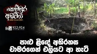 පාළු ළිඳේ අභිරහස චාමරගෙන් එලියට ආ හැටි | Kemmura Adaviya | FM Derana