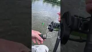 Mulineta Zeck HR 20 și lanseta Zeck Mr. Waller la lucru!