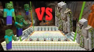 Iron Golem VS Zombie