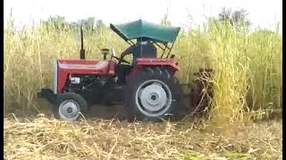 DIGITAL HARVESTING
