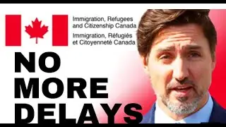BIG OPPORTUNITIES FOR VISITORS SEEKING WORK PERMIT  CIC NEWS  IRCC UPDATES