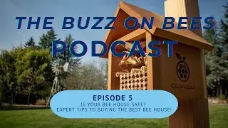Is Your Bee House Safe? Expert Tips to Buying the Best Bee House! | Ep. 5