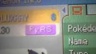 Pokemon Diamond My Team