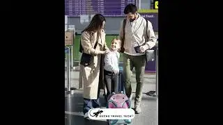 ✨ Travel Smarter. Travel Safer. ✨ || Gecko Travel Tech