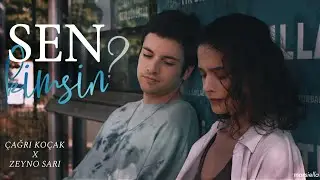 Çağrı Koçak'tan Zeyno Sarı'ya... 