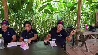 Explorando las redes PANACA (Marca, comunicaci&oacute;n y posicionamiento). 