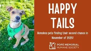 November 2025 Happy Tails