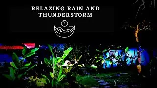 Relaxing Rain And Thunderstorms In Bali #nature #storm #epic #relaxing #sleep