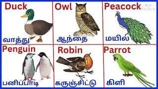 Birds Name| பறவைகளின் பெயர்கள்| Learn Birds Name in Tamil and English for kids|@KidsFunZone-01