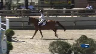 Surprise van het Reigershof 7yo Divison CSI Lier 06/25