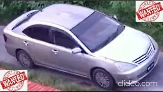 Sheep/animal thieves caught on camera stealing sheep in an old model allion on E.C.D, Guyana, WANTED