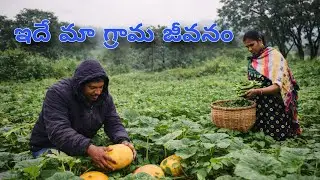 గిరిజన గ్రామ జీవితం | Tribal Village Life in Araku | Mohan AP Youtuber