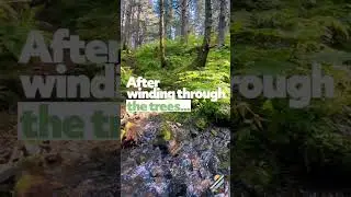 3 Challenging Hikes in Seward, Alaska | Things to Do In Seward, AK!