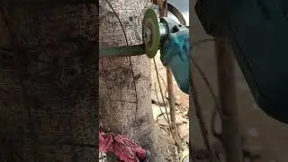 Amazing way to save 2 million trees 🌳 #shortvideo #saveenvironment #savenature