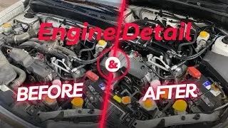 Engine Detailing Fast & Easy in only 4 minutes!