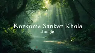 korkoma Shankar khola ||  Shankar khola korkoma || korba sankar khola