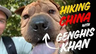 China's Egg Valley Hike with CHINESE SHAR-PEI - China Travel Vlog