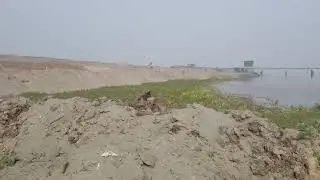 Ravi River fish hunting video YouTube video vlog #fish #hunting #aqibfishers #vlog ##darya