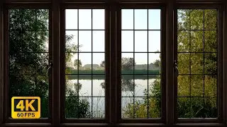 4K Lake window view during sunrise with birds calling - Relaxing, Calming, Ambience