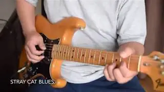 Stray Cat Blues - Rolling Stones