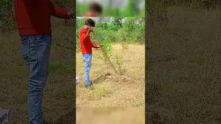 IndianRatSnakeRelease | RatSnake back in tha wild | dhamanSnake #animalrescue #snake