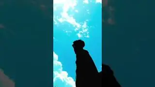Sky Change Video Editing #vn #trendingreelsedit #viralvideoediting #vnedit #skychangevideoediting