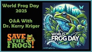 🐸 World Frog Day Celebration! Froggy Forts, Frog Art & Amphibian Conservation 🌍