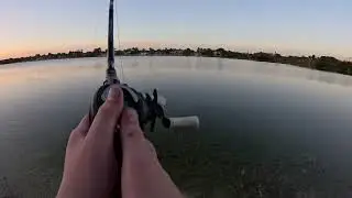 Bass fishing, giant top water, feeding frenzy!