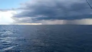 Offshore Trolling  Stuart Florida 